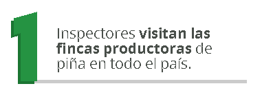 proceso de producción